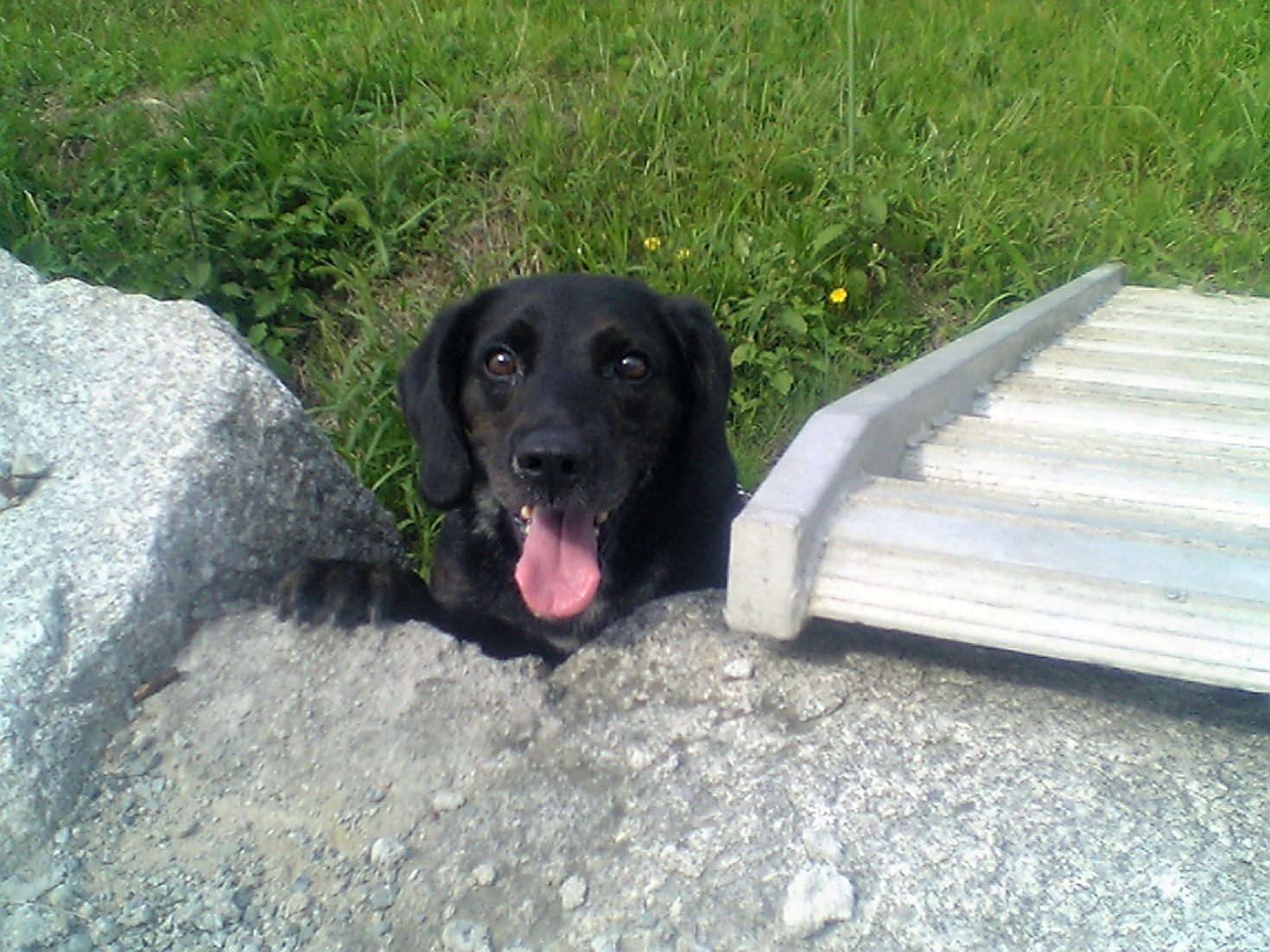 らんらんる さんのトップページ 食べログ