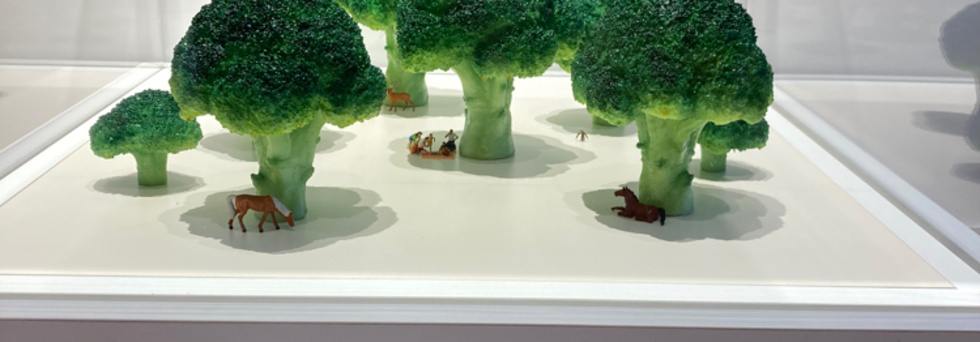 レビュアーのカバー画像