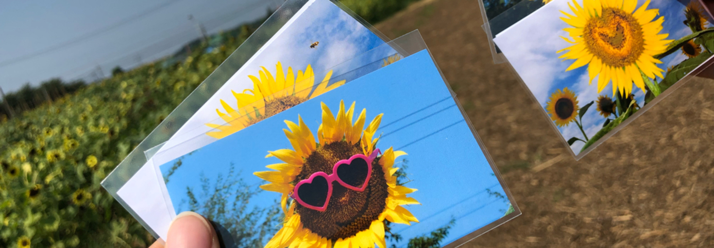 レビュアーのカバー画像