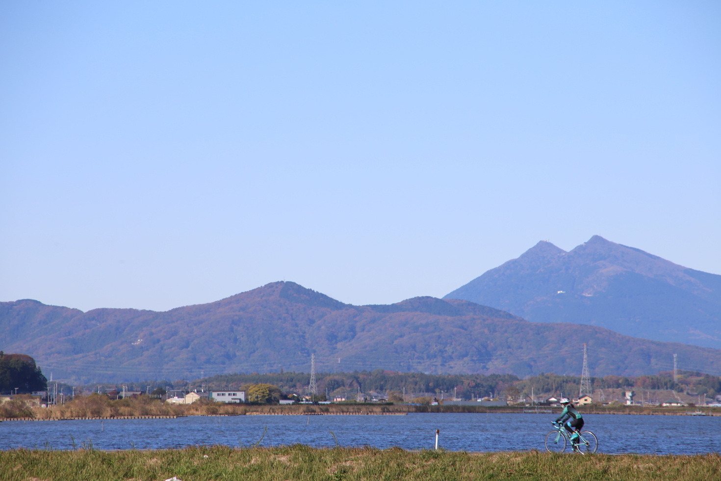 レビュアーのカバー画像