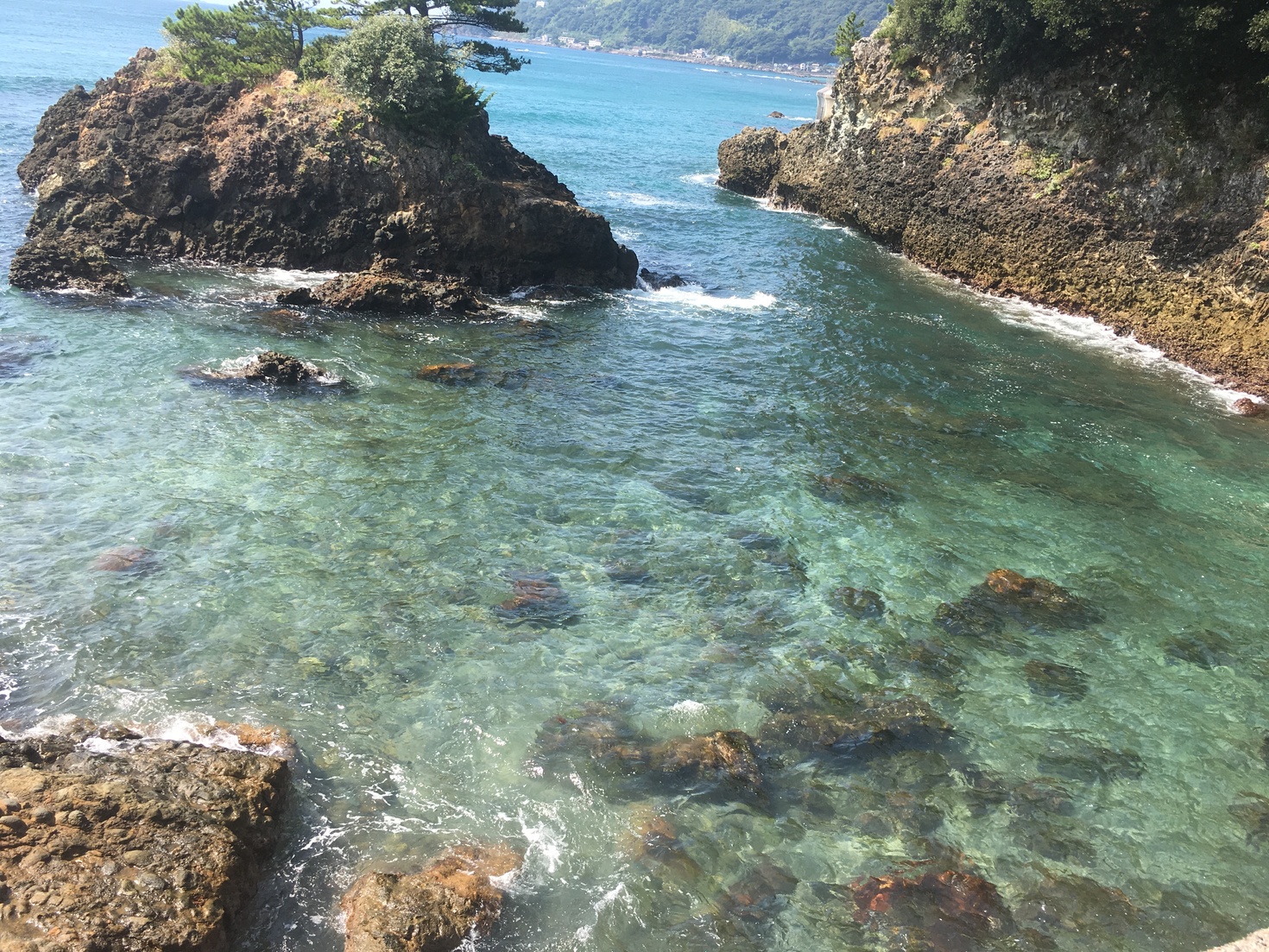 レビュアーのカバー画像