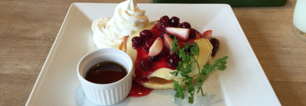 レビュアーのカバー画像