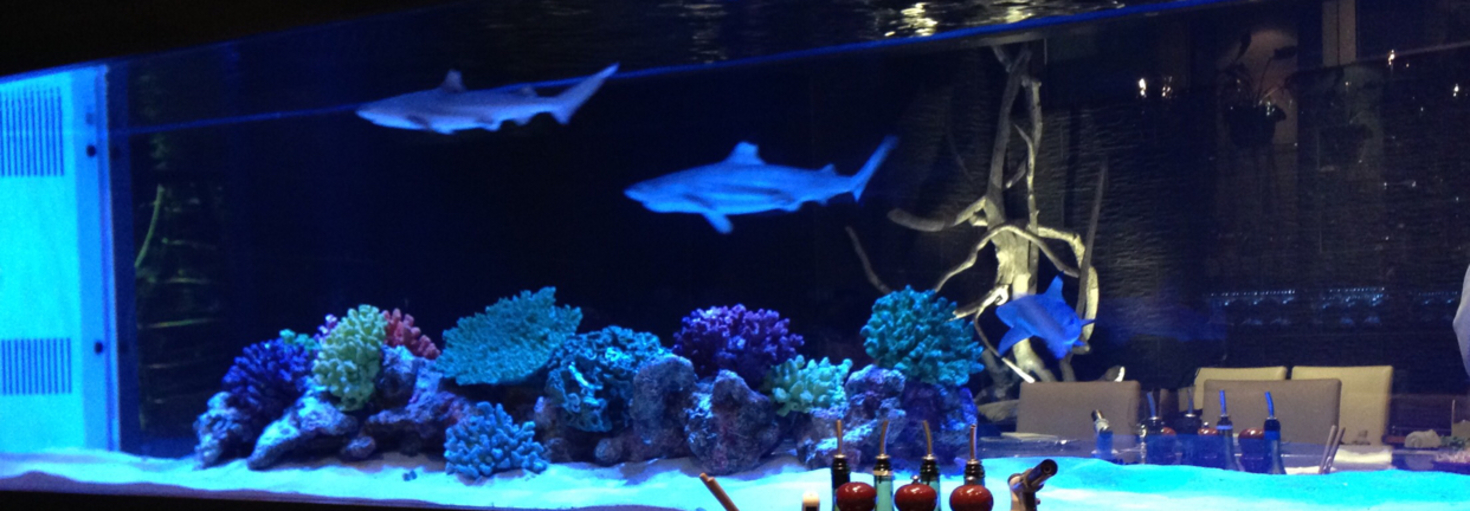 レビュアーのカバー画像