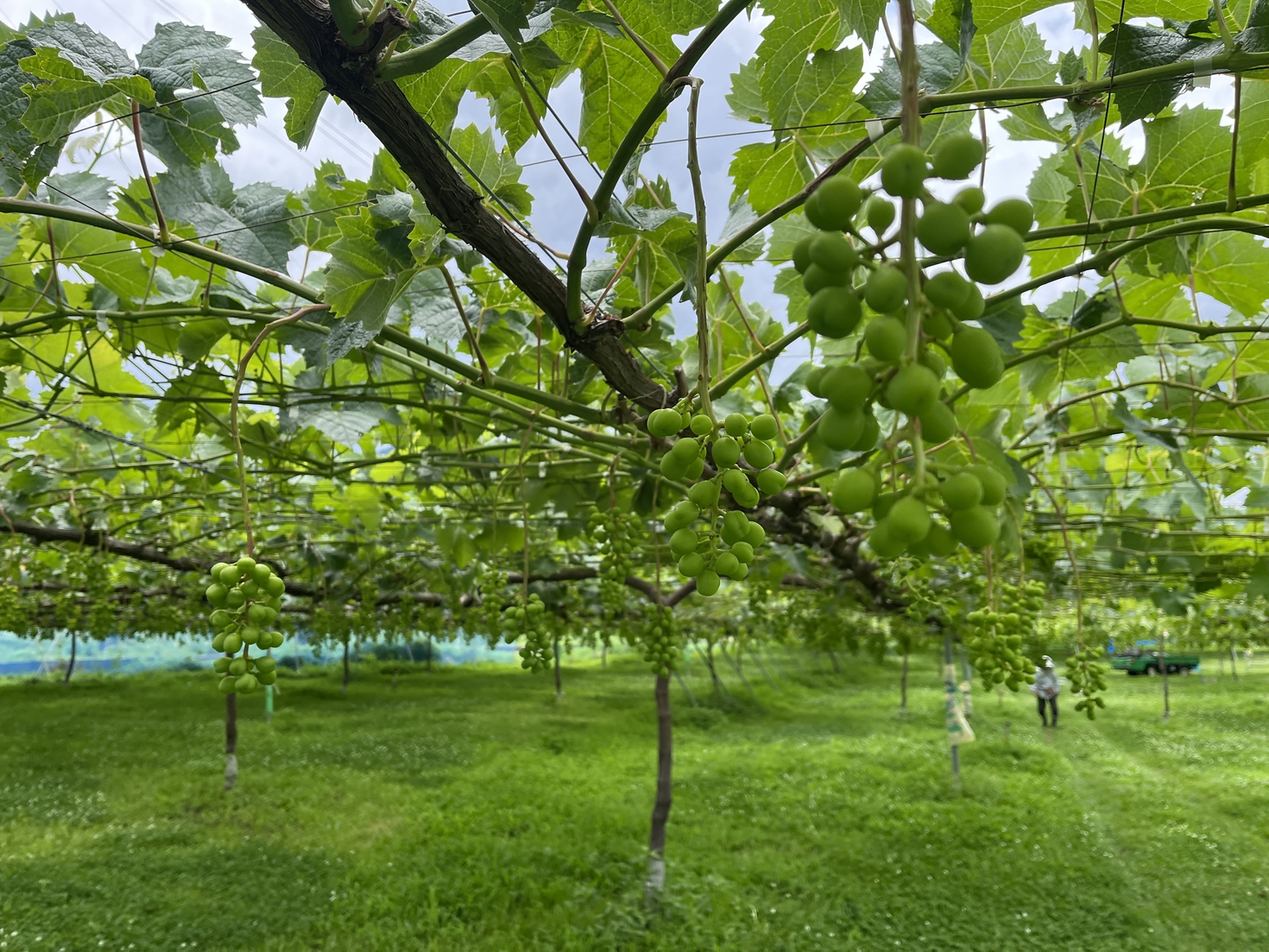 レビュアーのカバー画像