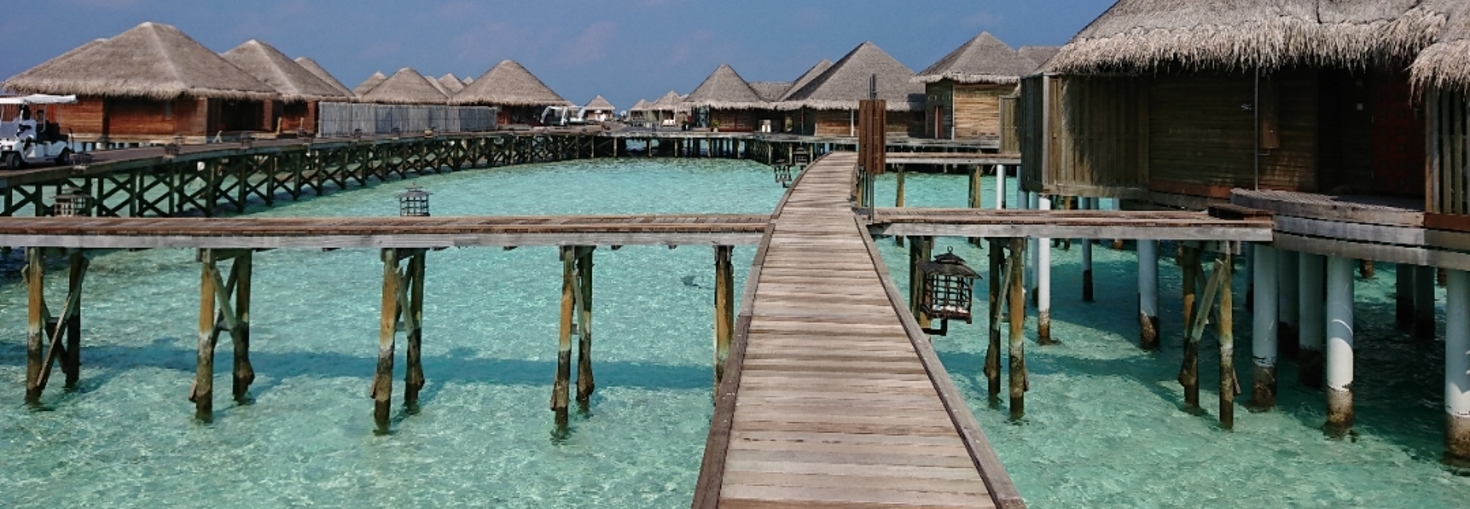 レビュアーのカバー画像