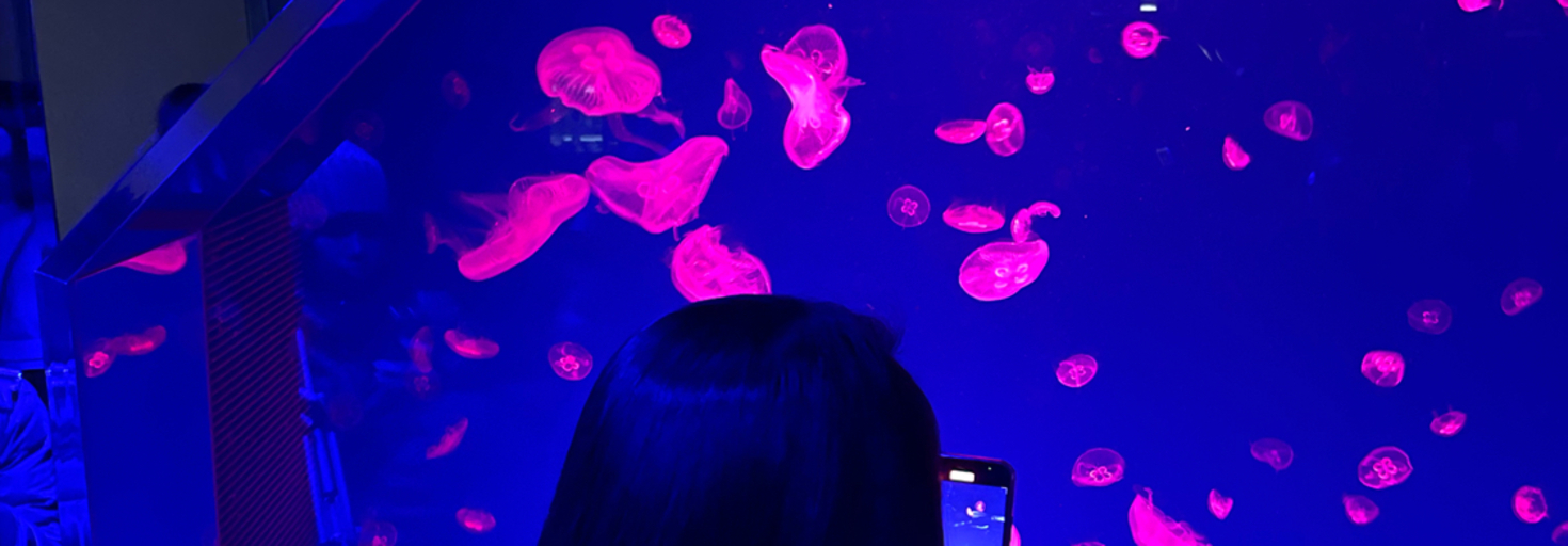 レビュアーのカバー画像