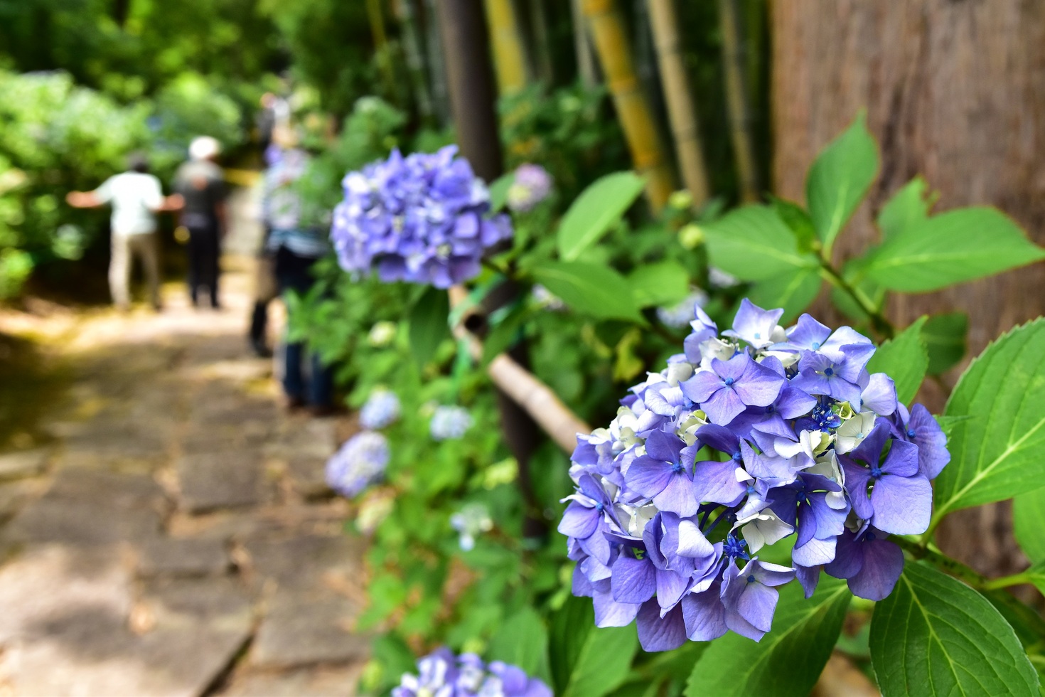 レビュアーのカバー画像