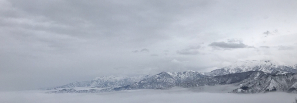 レビュアーのカバー画像