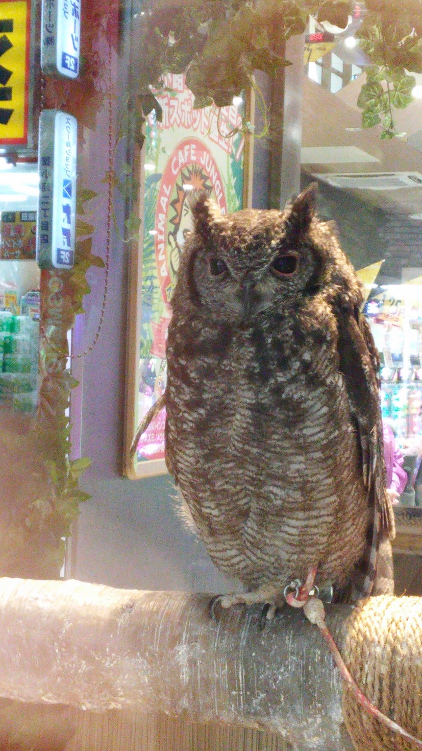 レビュアーのカバー画像