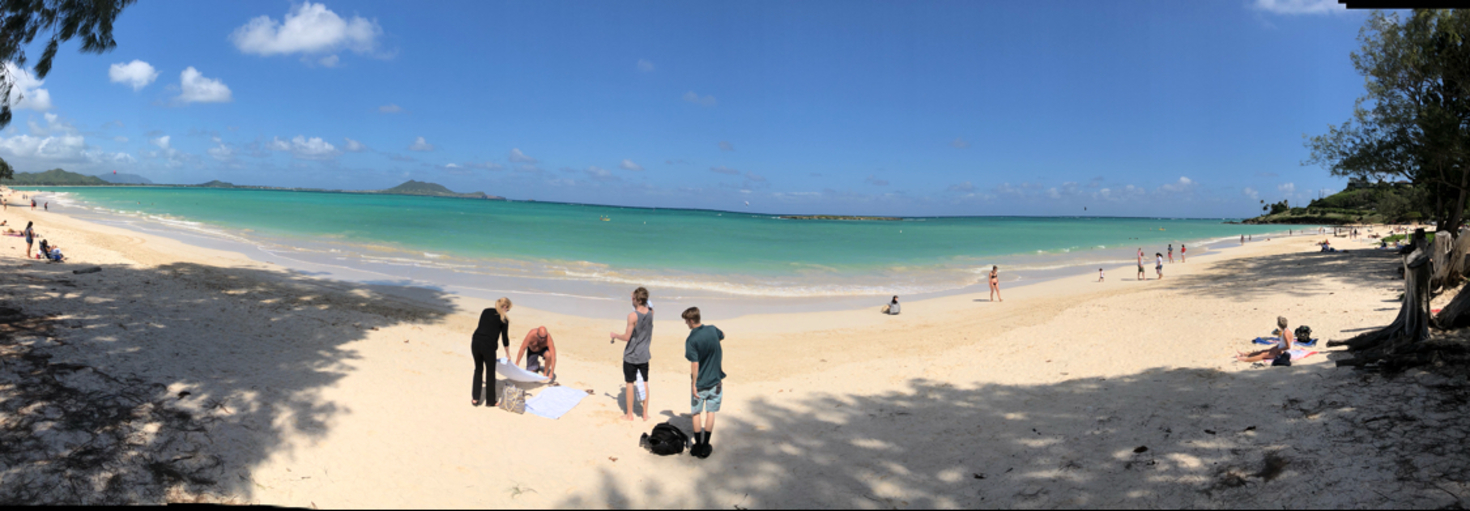 レビュアーのカバー画像