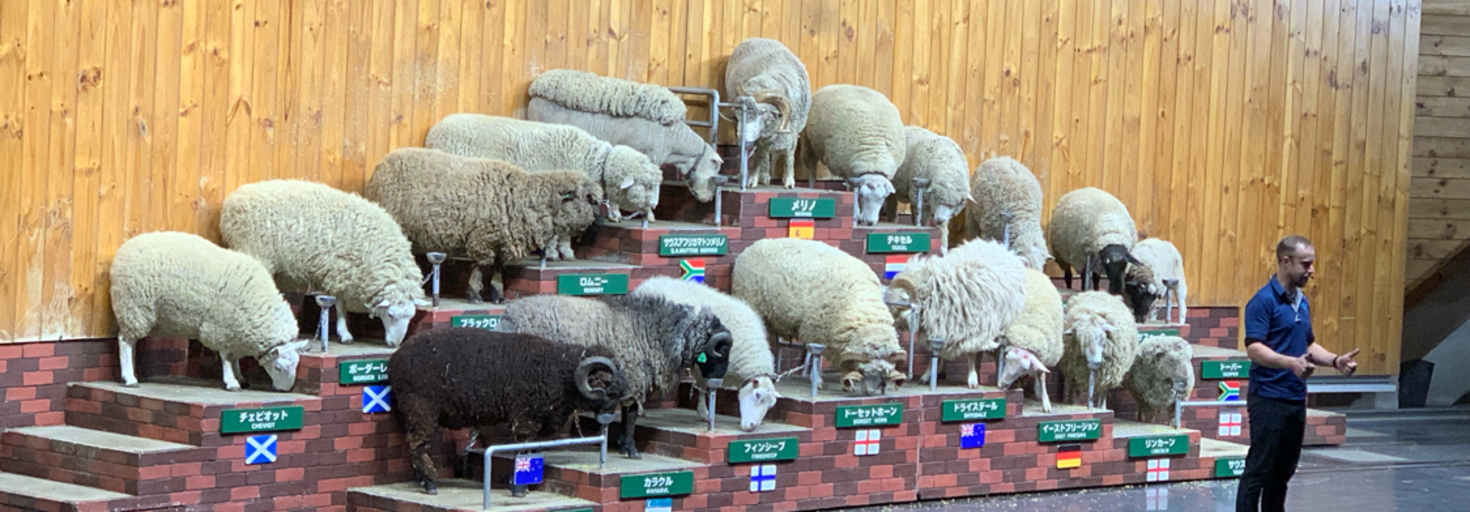 レビュアーのカバー画像