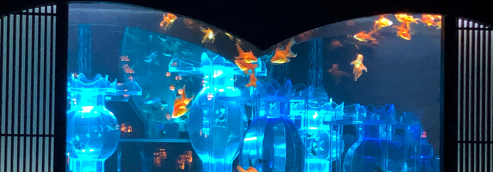 レビュアーのカバー画像