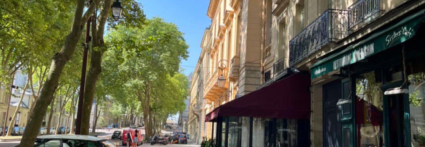 レビュアーのカバー画像