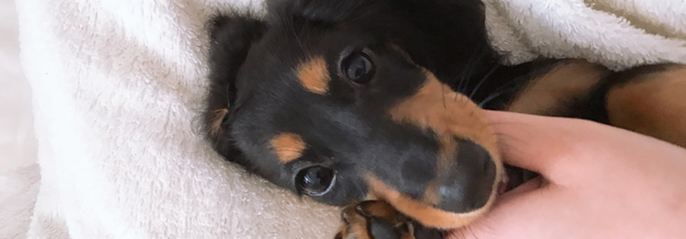 レビュアーのカバー画像