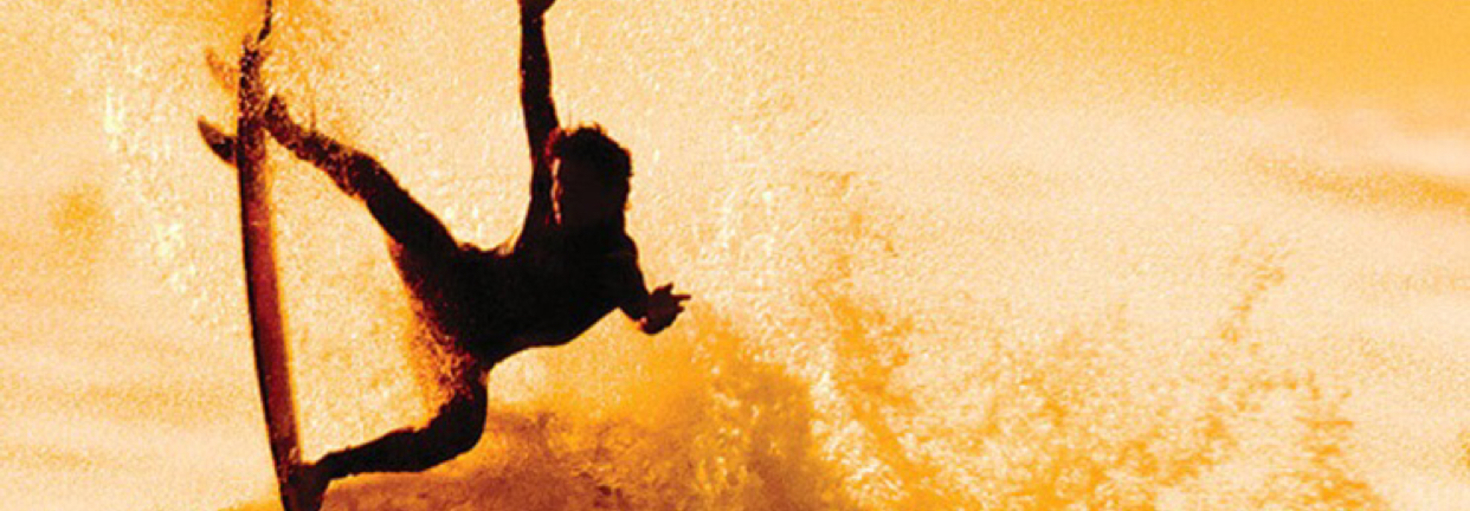 レビュアーのカバー画像