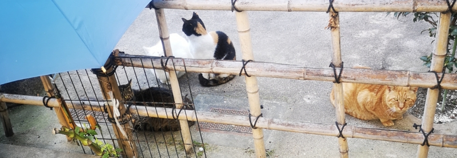 レビュアーのカバー画像