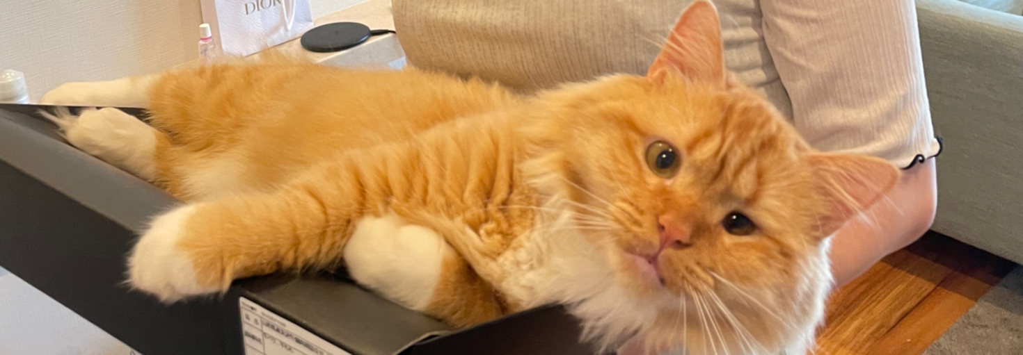 レビュアーのカバー画像