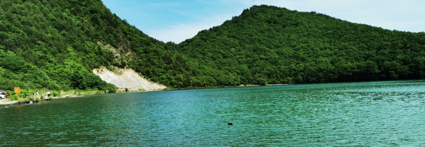 レビュアーのカバー画像