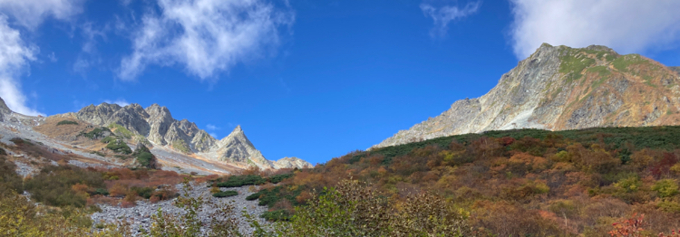 レビュアーのカバー画像