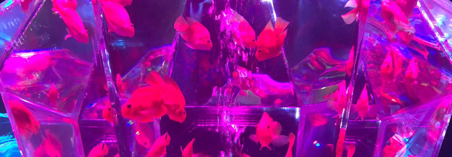 レビュアーのカバー画像