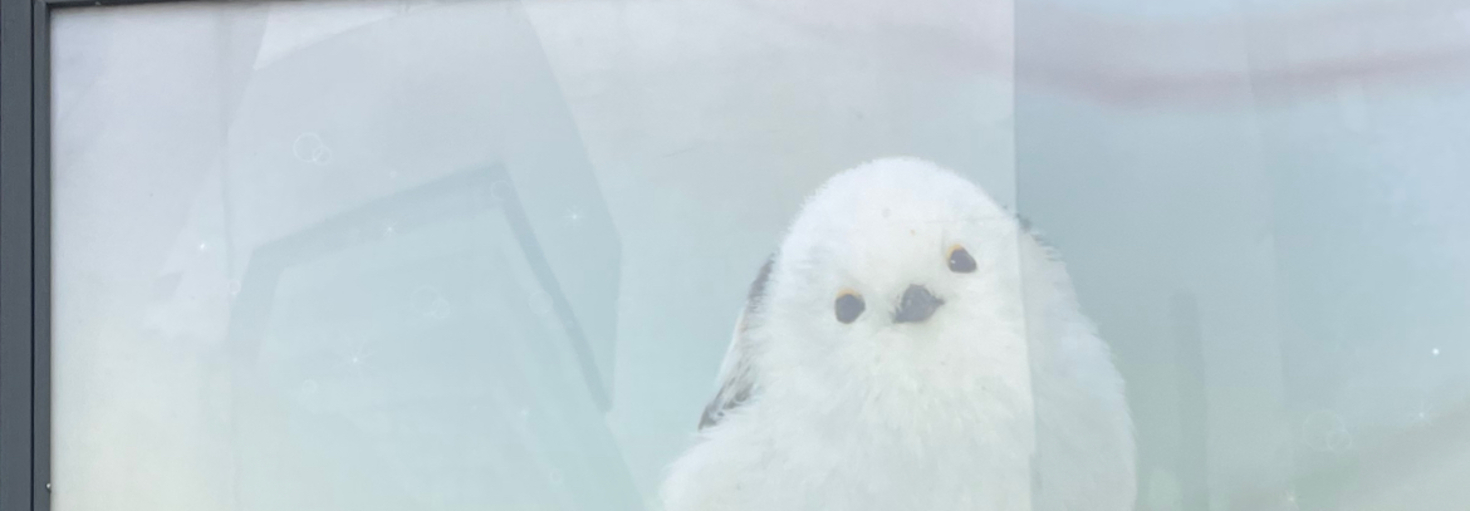 レビュアーのカバー画像