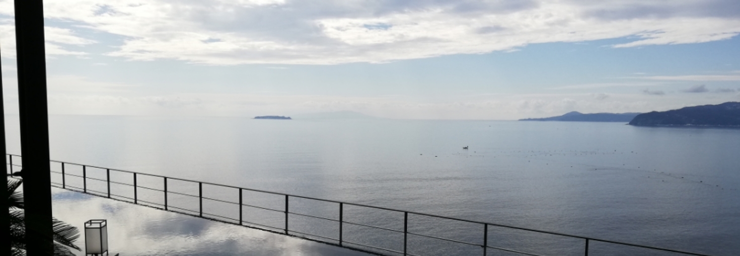 レビュアーのカバー画像