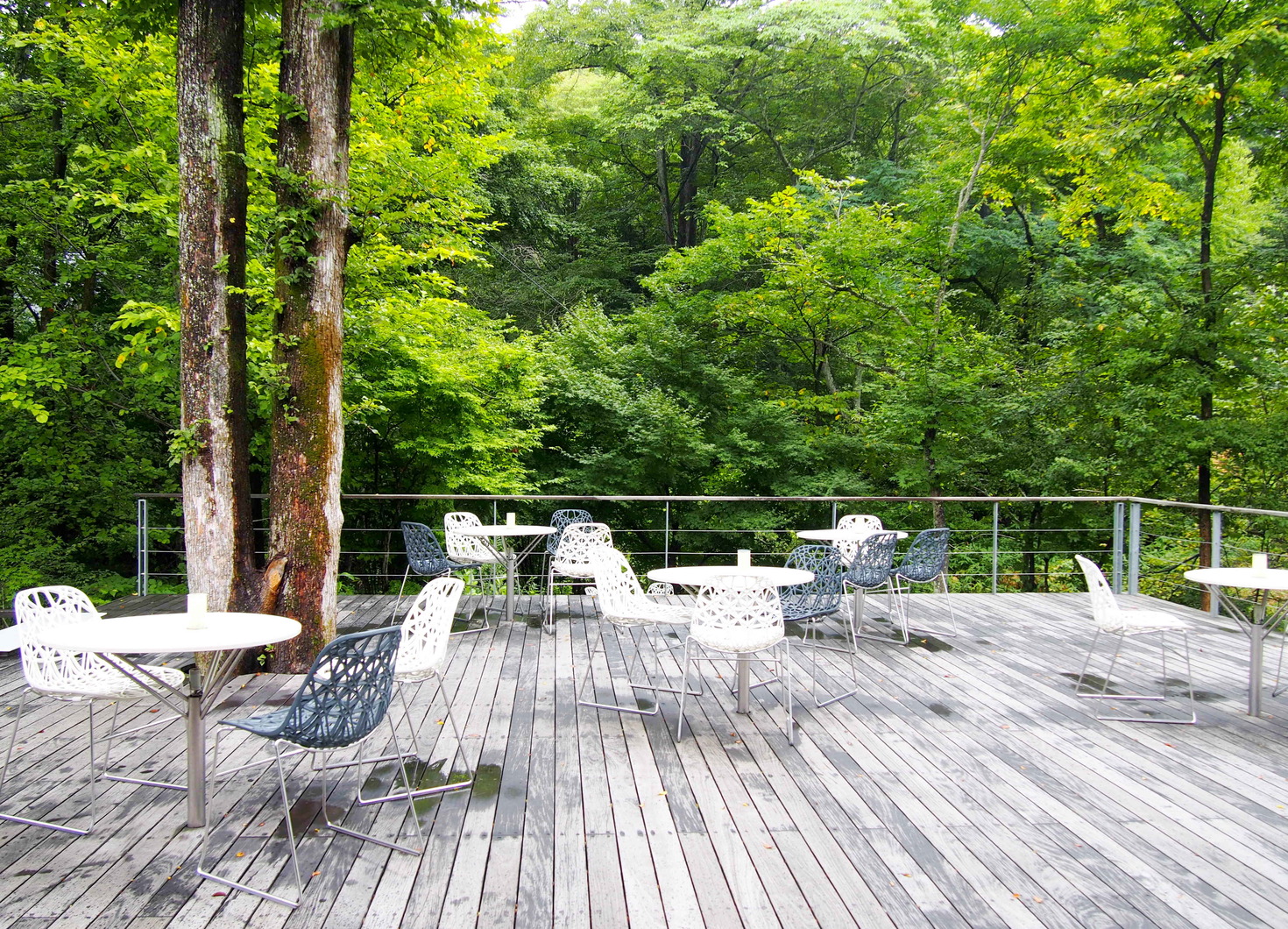 レビュアーのカバー画像