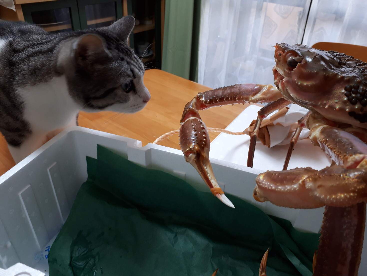 レビュアーのカバー画像