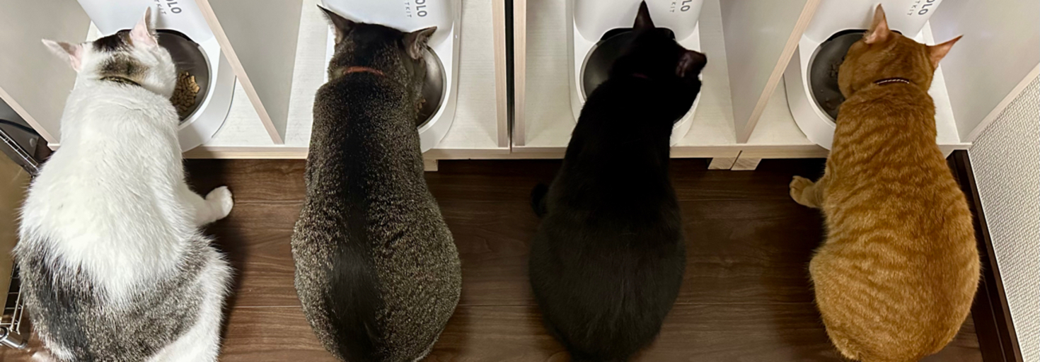 レビュアーのカバー画像