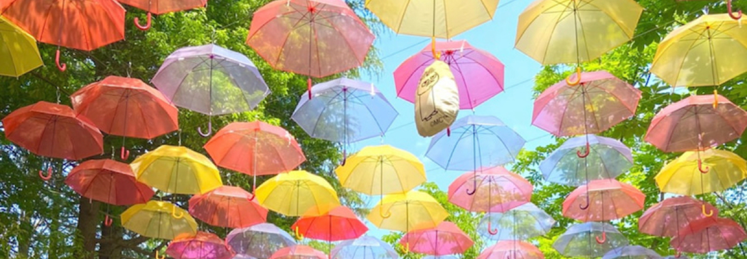 レビュアーのカバー画像