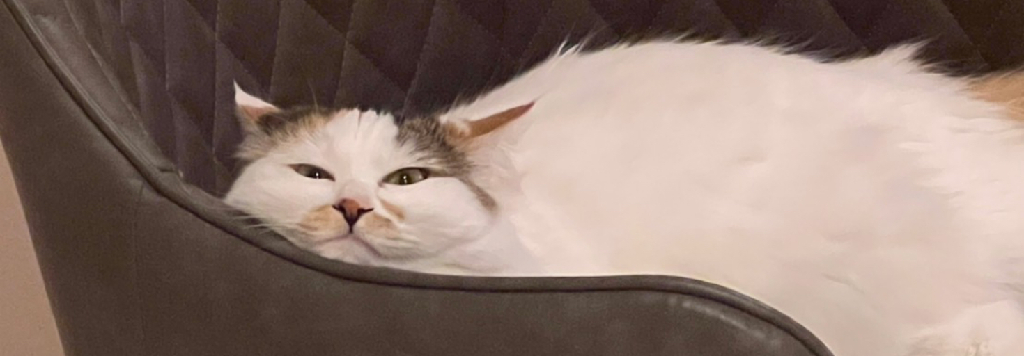 レビュアーのカバー画像