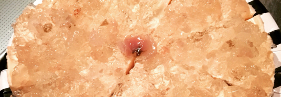 レビュアーのカバー画像