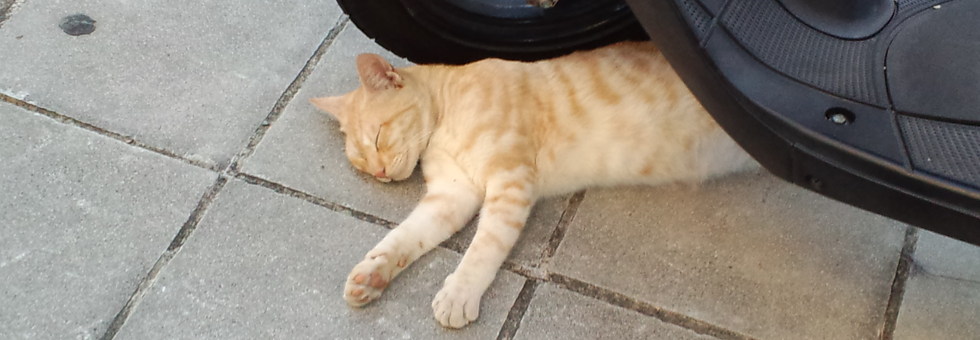 レビュアーのカバー画像