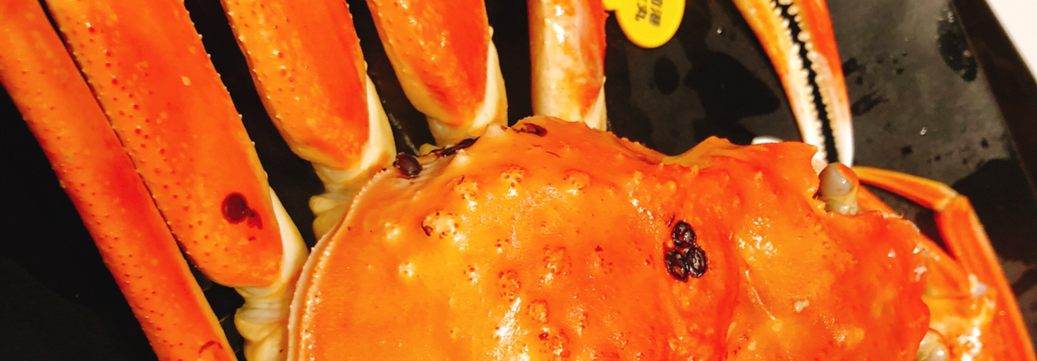 レビュアーのカバー画像