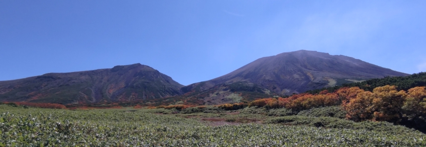 レビュアーのカバー画像