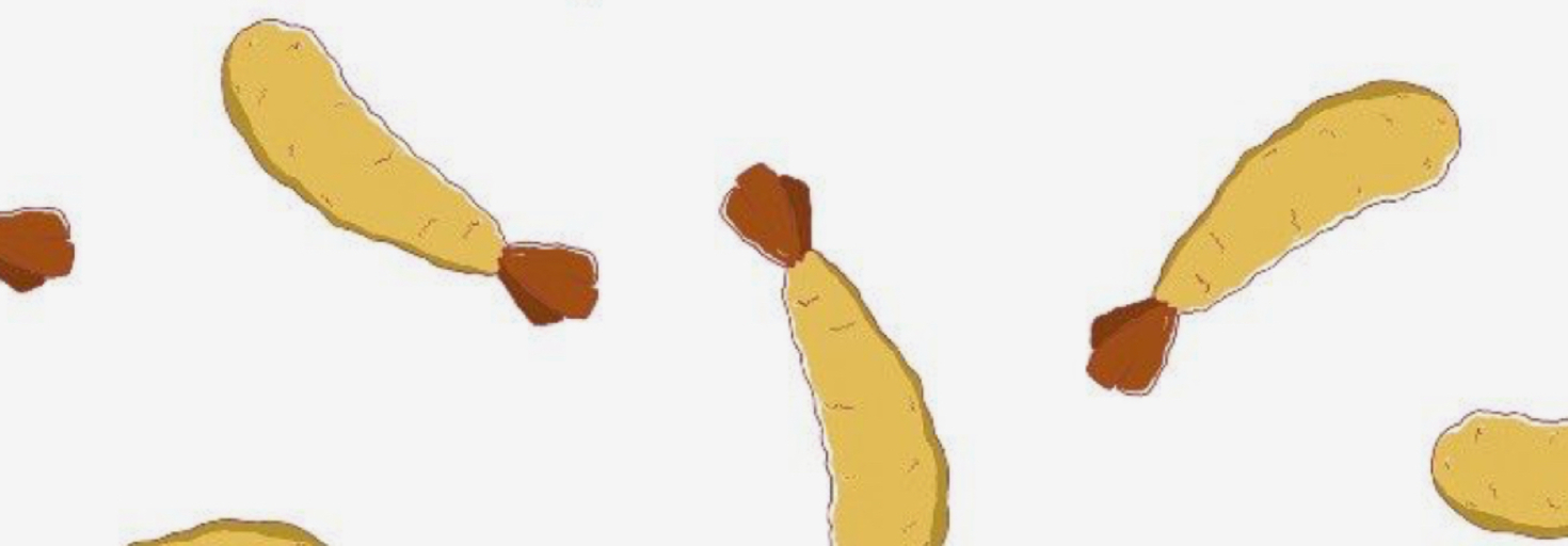 レビュアーのカバー画像