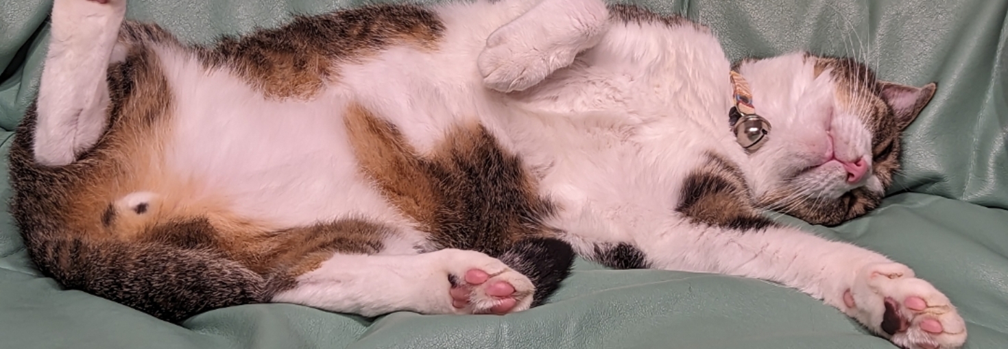 レビュアーのカバー画像