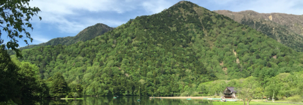 レビュアーのカバー画像