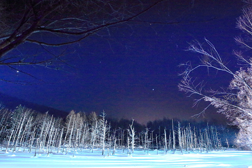 レビュアーのカバー画像