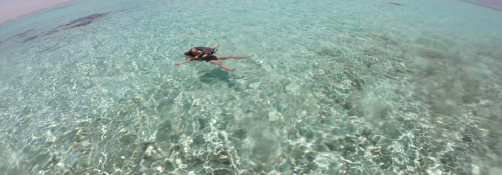 レビュアーのカバー画像