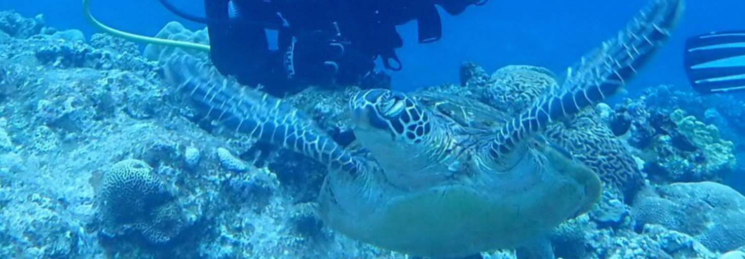 レビュアーのカバー画像