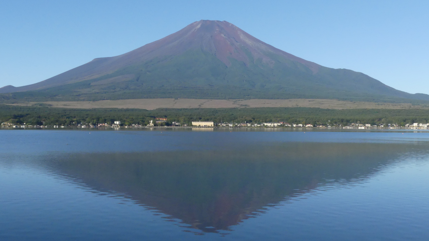 レビュアーのカバー画像