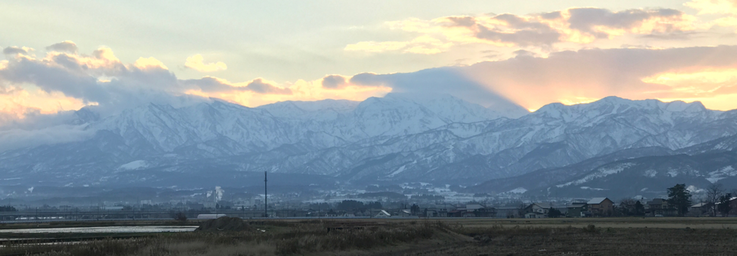 レビュアーのカバー画像