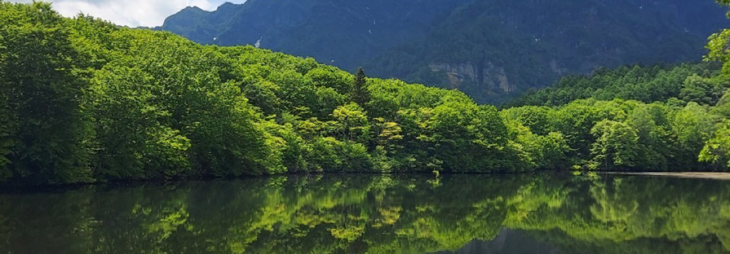 レビュアーのカバー画像