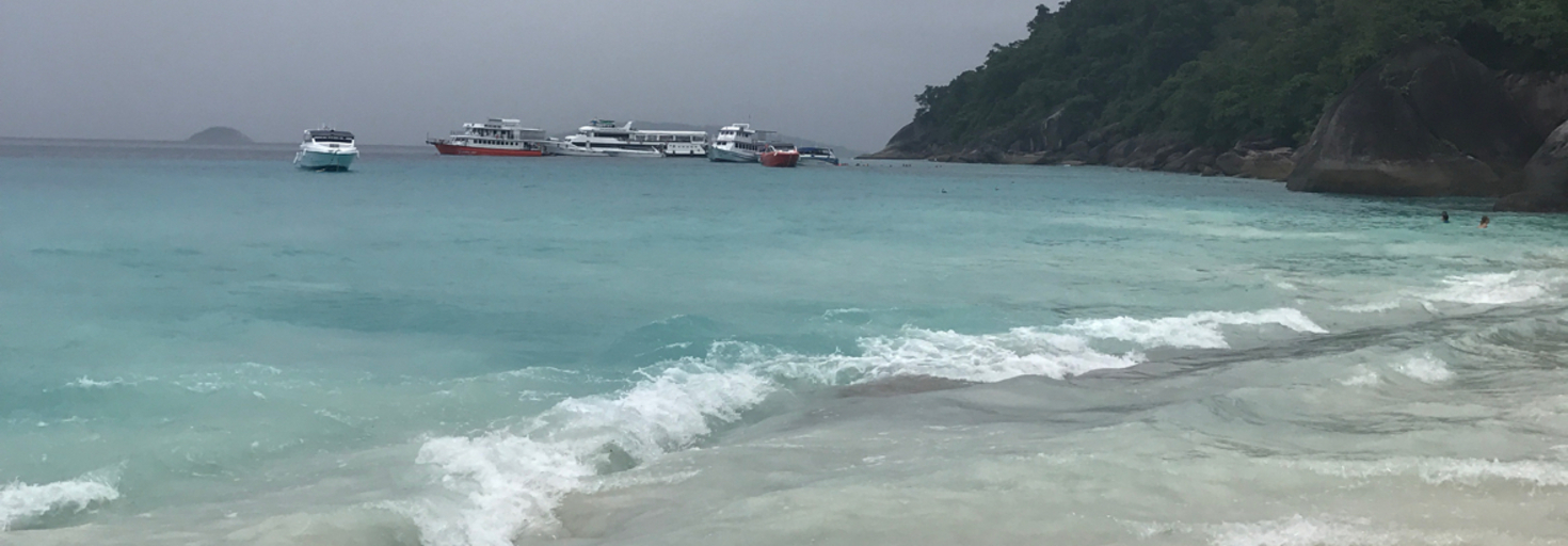 レビュアーのカバー画像