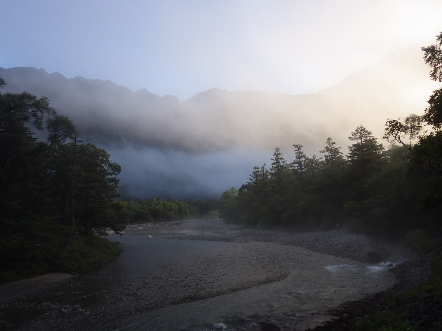 レビュアーのカバー画像