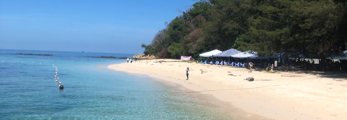 レビュアーのカバー画像