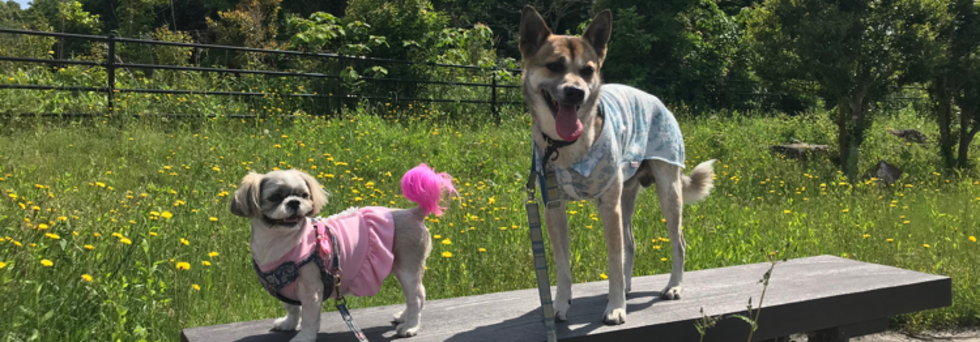 レビュアーのカバー画像