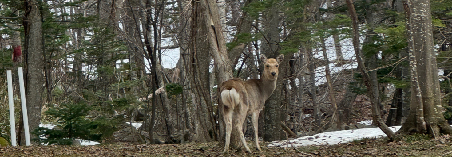 レビュアーのカバー画像
