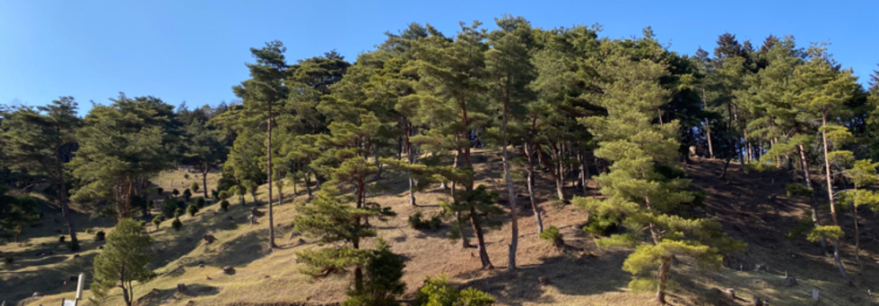 レビュアーのカバー画像